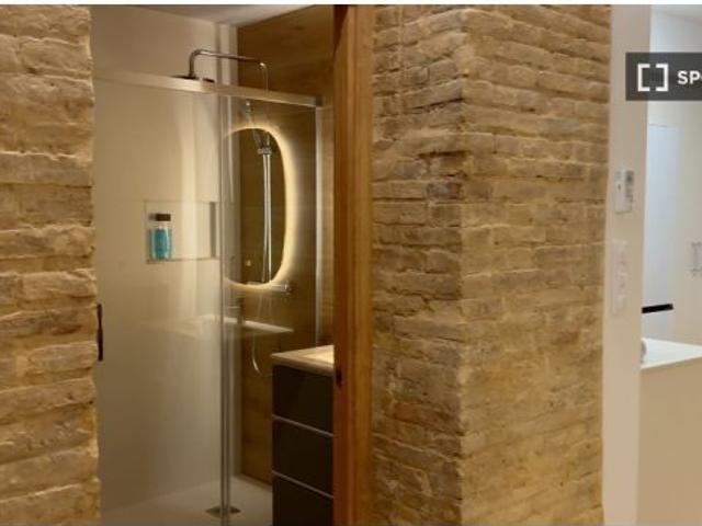 Apartamento de 1 dormitorio en alquiler en La Seu, solo para profesionales