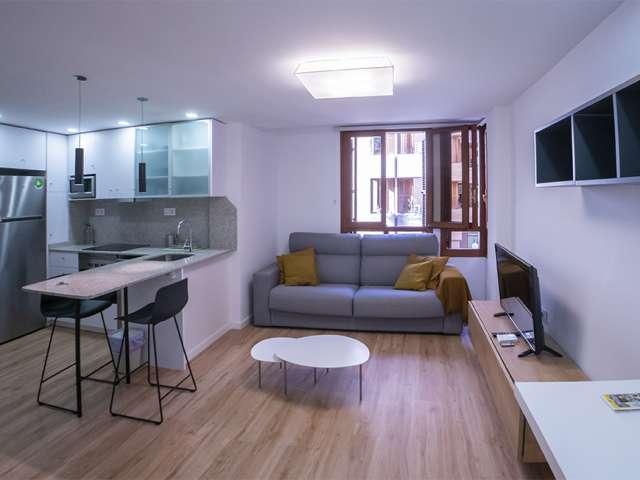 Apartamento de 1 dormitorio en alquiler en La Seu, Valencia