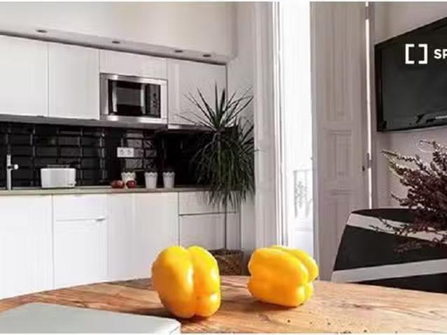 apartamento de 1 dormitorio en alquiler en Madrid Centro