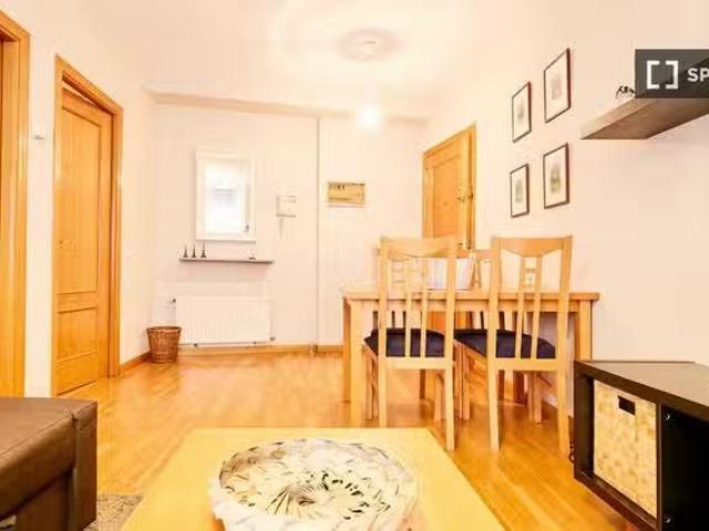 Apartamento de 1 dormitorio en alquiler en Madrid
