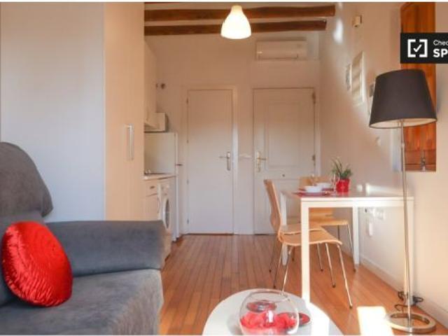 Apartamento de 1 dormitorio en alquiler en Madrid