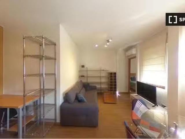 Apartamento de 1 dormitorio en alquiler en Madrid