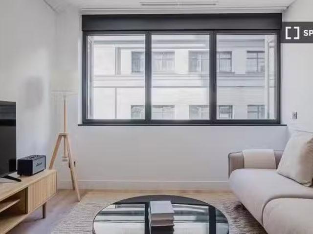 Apartamento de 1 dormitorio en alquiler en Madrid