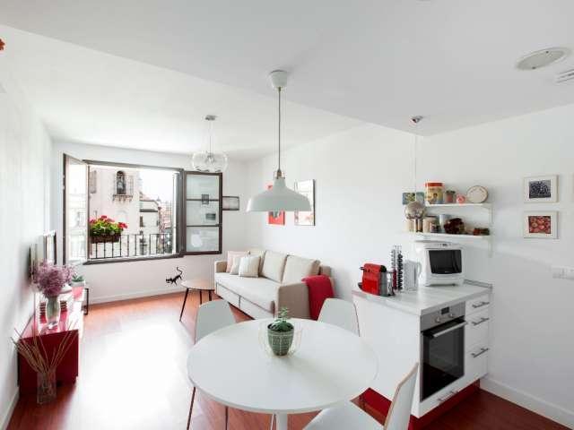 Apartamento de 1 dormitorio en alquiler en Malasaña