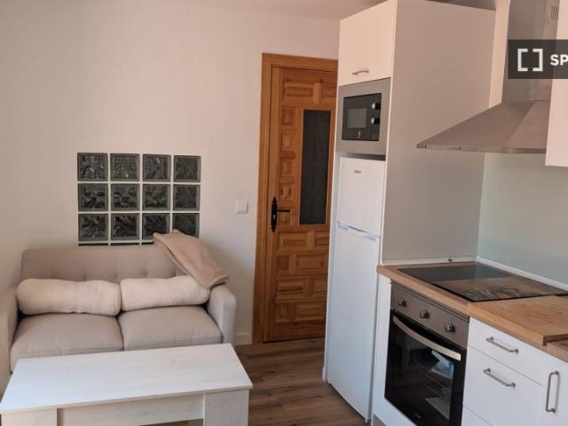 Apartamento de 1 dormitorio en alquiler en Mijas