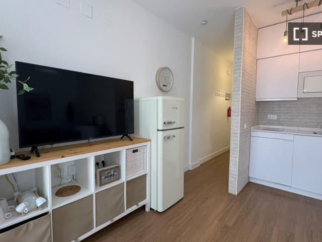 Apartamento de 1 dormitorio en alquiler en Museo, Sevilla