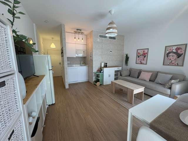 Apartamento de 1 dormitorio en alquiler en Museo, Sevilla