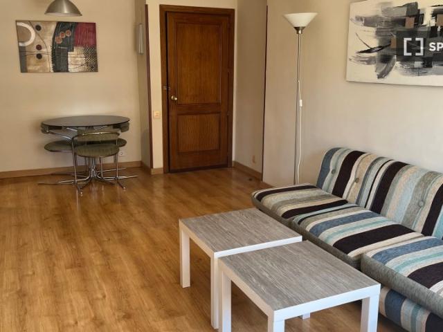 Apartamento de 1 dormitorio en alquiler en Nueva España, Madrid