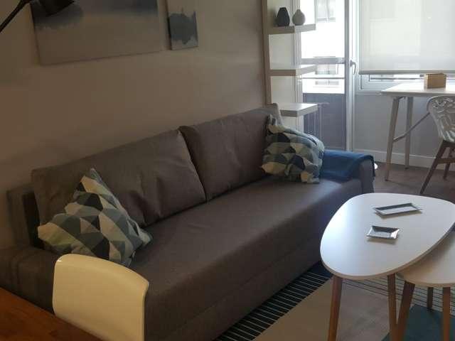 Apartamento de 1 dormitorio en alquiler en Nueva España, Madrid