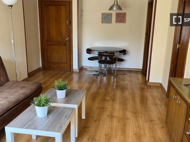 Apartamento de 1 dormitorio en alquiler en Nueva España, Madrid