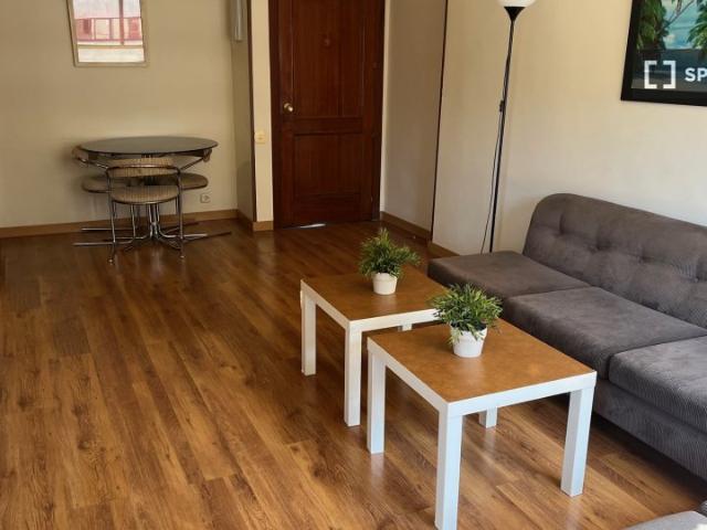 Apartamento de 1 dormitorio en alquiler en Nueva España, Madrid