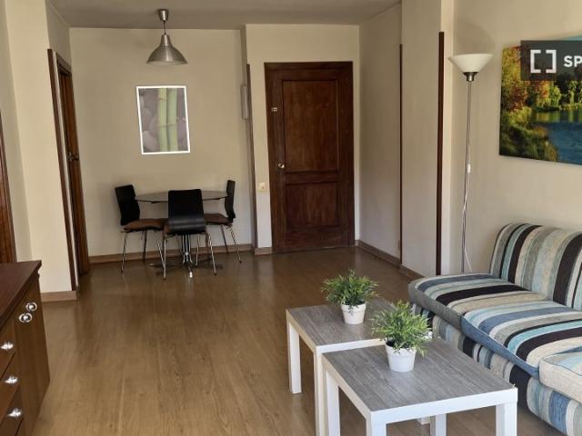 Apartamento de 1 dormitorio en alquiler en Nueva España, Madrid