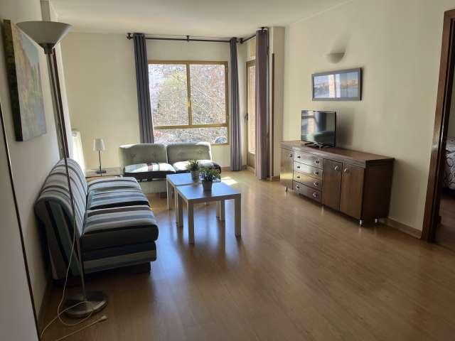 Apartamento de 1 dormitorio en alquiler en Nueva España, Madrid