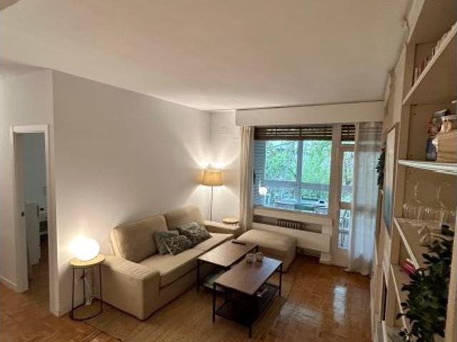 Apartamento de 1 dormitorio en alquiler en Nueva España, Madrid