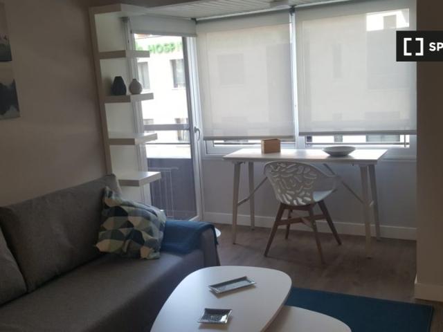 Apartamento de 1 dormitorio en alquiler en Nueva España, Madrid