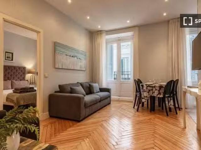 Apartamento de 1 dormitorio en alquiler en Sol, Madrid