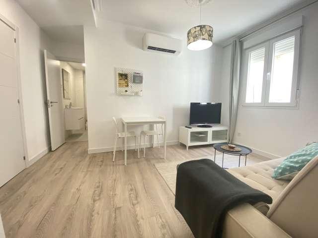 Apartamento de 1 dormitorio en alquiler en Sol, Madrid