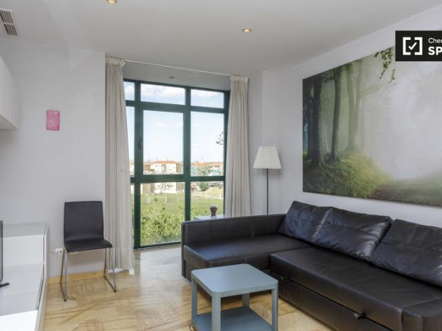 Apartamento de 1 dormitorio en alquiler en San Isidro, Madrid