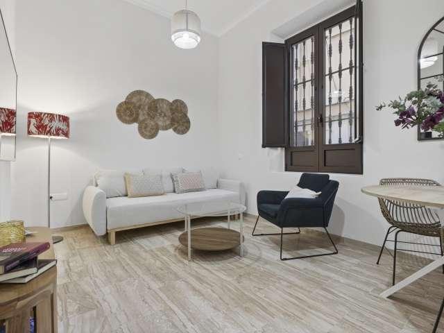 Apartamento de 1 dormitorio en alquiler en San Vicente, Sevilla