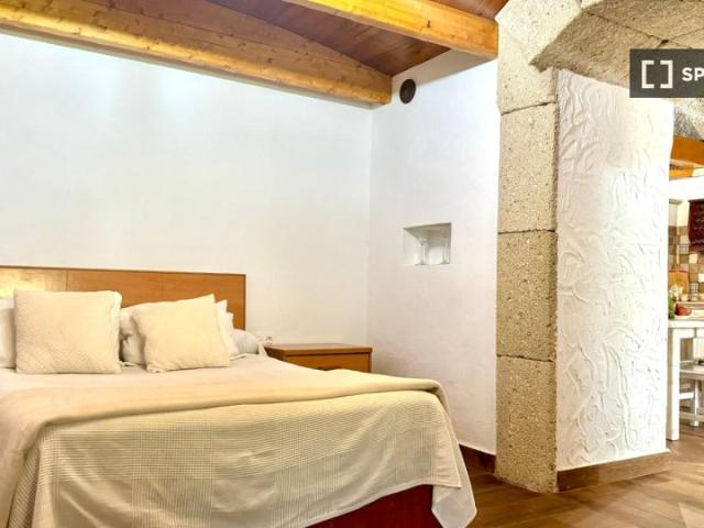 Apartamento de 1 dormitorio en alquiler en Santa Cruz de Tenerife