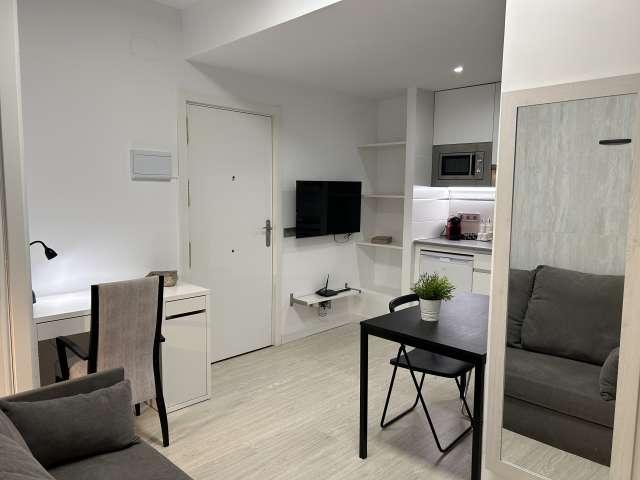 Apartamento de 1 dormitorio en alquiler en Puerta del Ángel