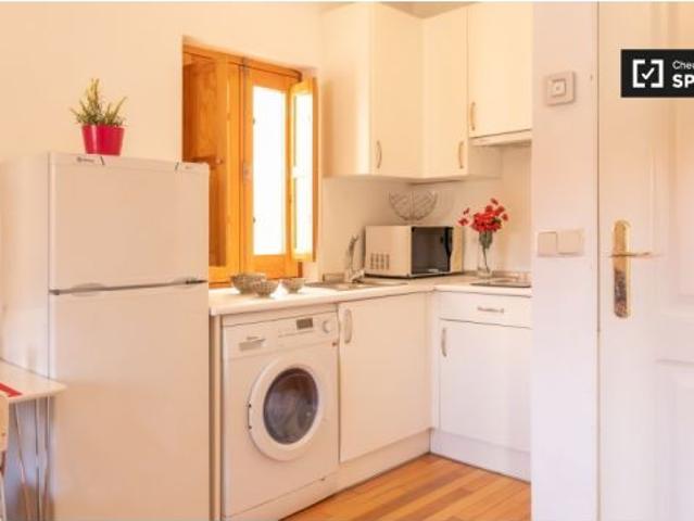 Apartamento de 1 dormitorio en alquiler en Puerta del Ángel, Madrid