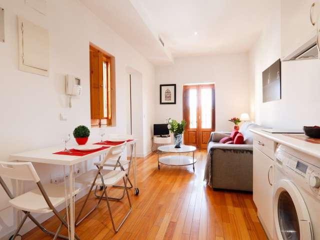 Apartamento de 1 dormitorio en alquiler en Puerta del Ángel, Madrid