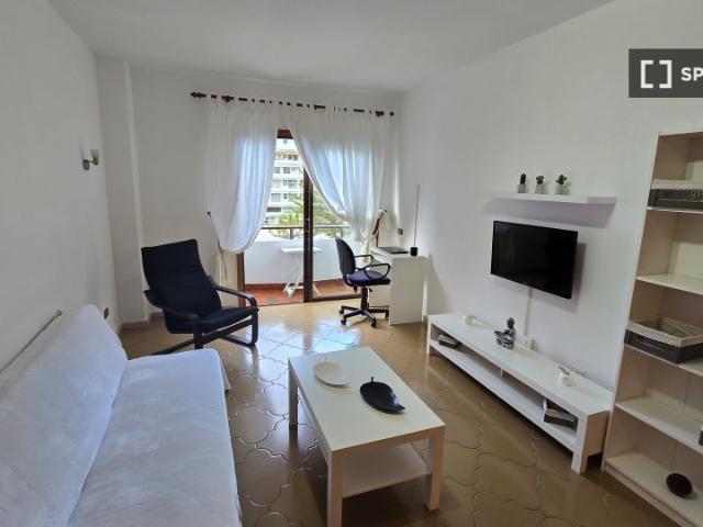 Apartamento de 1 dormitorio en alquiler en Puerto de la Cruz