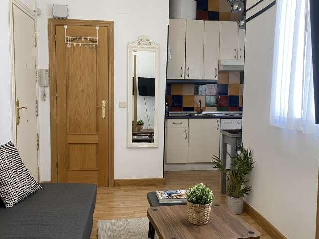 Apartamento de 1 dormitorio en alquiler en Trafalgar, Madrid