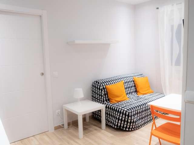 Apartamento de 1 dormitorio en alquiler en Trafalgar, Madrid