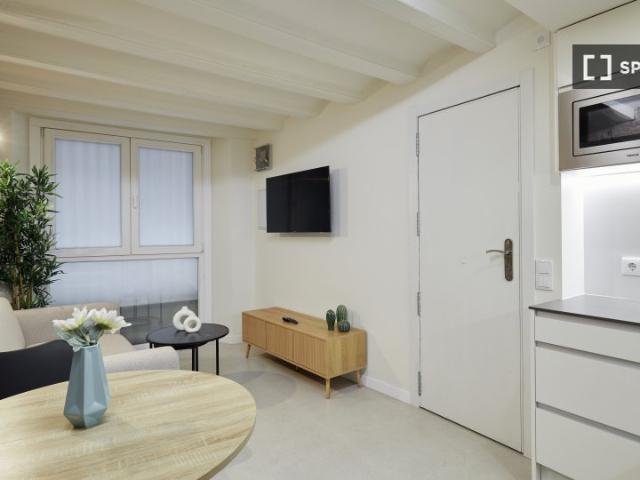 Apartamento de 1 dormitorio en El Raval, Barcelona