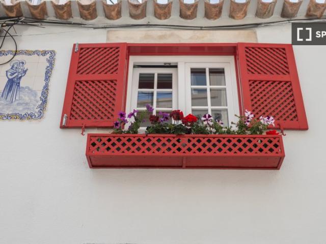 Apartamento de 1 quarto para alugar em Lisboa