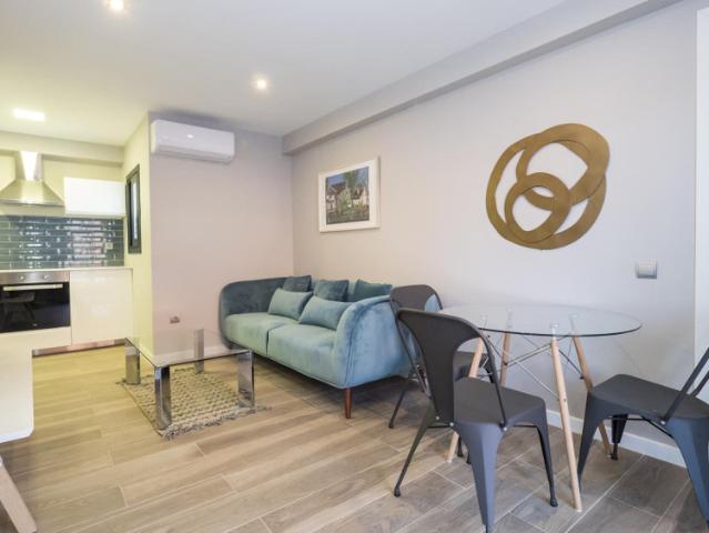 Apartamento de 1hab con espectacular terraza