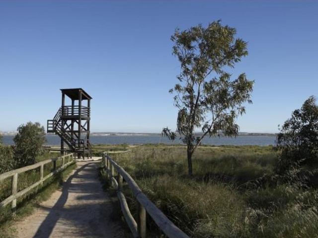 Apartamento de 2 dormitorios a la venta en San Miguel de Salinas