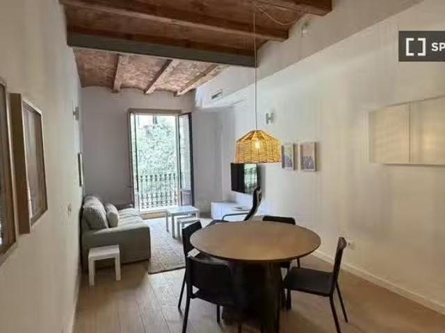 Apartamento de 2 dormitorios en alquiler en El Raval, Barcelona
