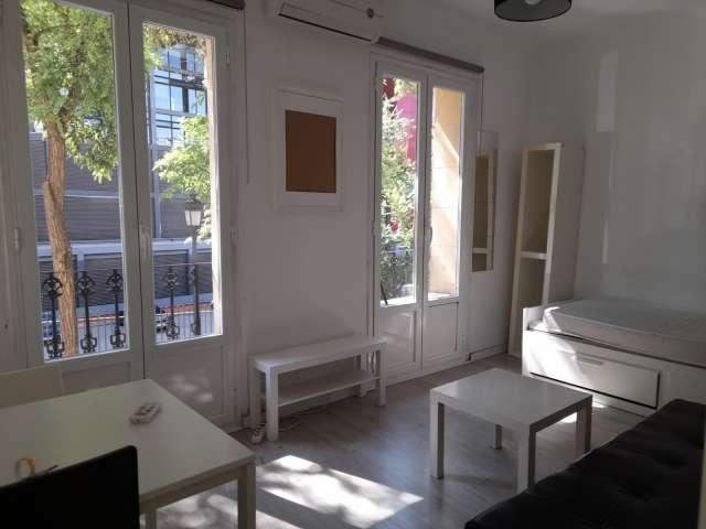 Apartamento de 2 dormitorios en alquiler en Embajadores, Madrid