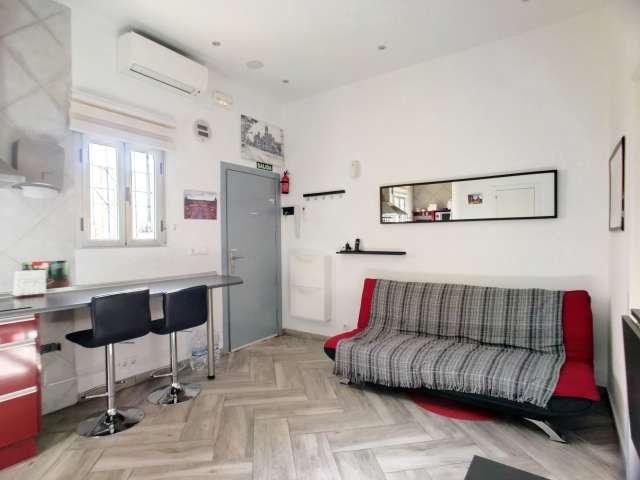 Apartamento de 2 dormitorios en alquiler en Embajadores, Madrid
