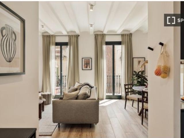 Apartamento de 2 habitaciones en alquiler en El Poble Sec, ideal para profesionales y parejas
