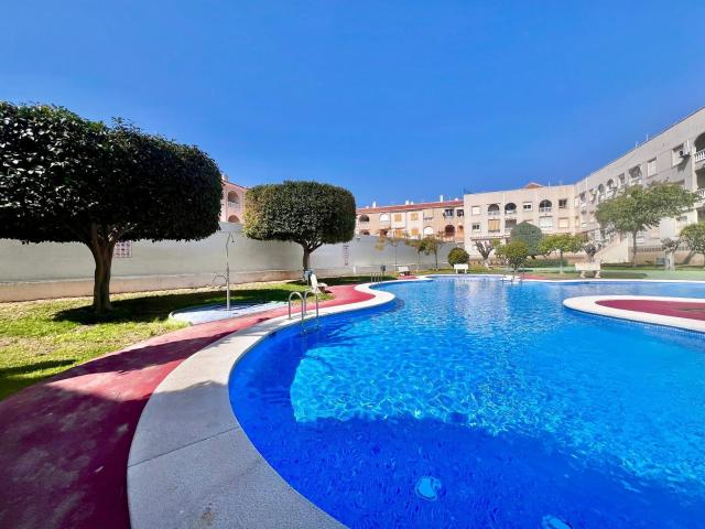 APARTAMENTO EN TORREVIEJA ALICANTE DE 2 DORMITORIOS 1 BAÑO