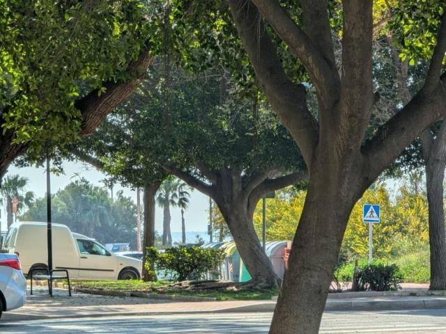 Apartamento en venta Torrevieja