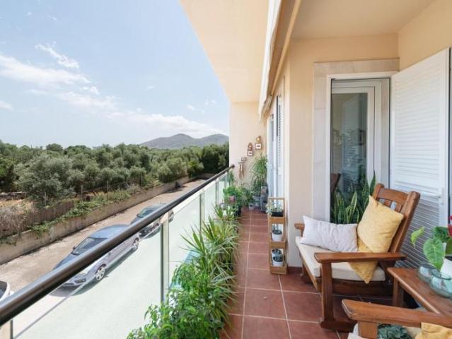 Apartamento en venta Alcúdia
