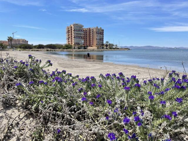 Apartamento en Venta en Tomás Maestre