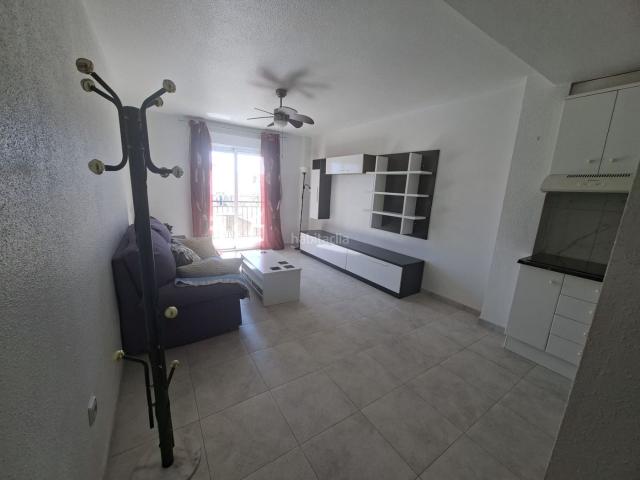 Apartamento en venta en Torrevieja, Avenida Habaneras Curva de Palangre. APARTAMENTO A 250 metros DE LA PLAYA DE UNA HABITACION, ASCENSOR Y BALCON. Apartamentos.