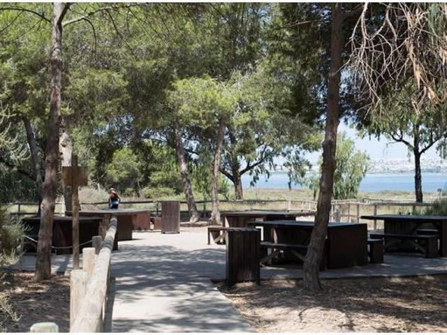 Apartamento en Venta en Torrevieja, Alicante