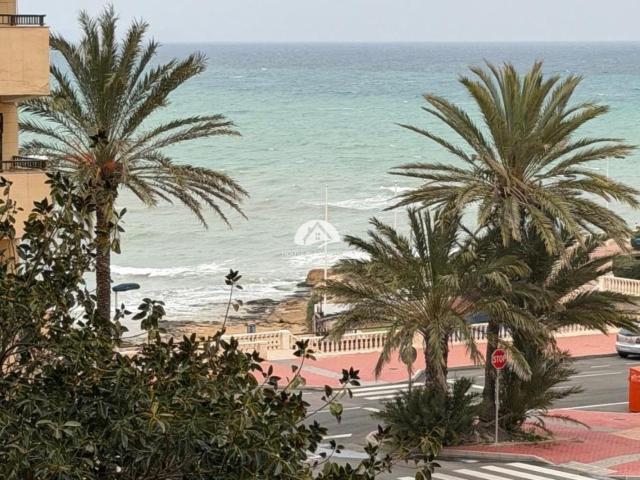 Apartamento en venta en Torrevieja Alicante