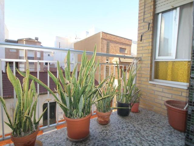 Apartamento en venta en Torrevieja, Centro Muelle Pesquero. Gran piso en el centro de Torrevieja con 4 dormitorios a 900m del mar. Apartamentos.