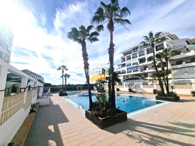 Apartamento en venta en Torrevieja, Los Europeos. Apartamento en venta en La Mata Viñamar, 1 dormitorio. Apartamentos.