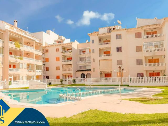 Apartamento en venta en Torrevieja, Zona Playa de los Locos. Apartamento con piscina compartida en Playa de los Locos, en la provincia de Alicante, en la localidad de Torrevieja. 1 habitación.