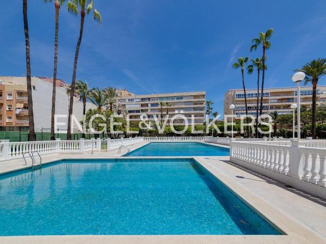 Piso en venta en Torrevieja, Zona Playa de los Locos. Apartamento de 227 m en la urbanización El Palmeral en primera línea de la Playa de Los Locos. Pisos.