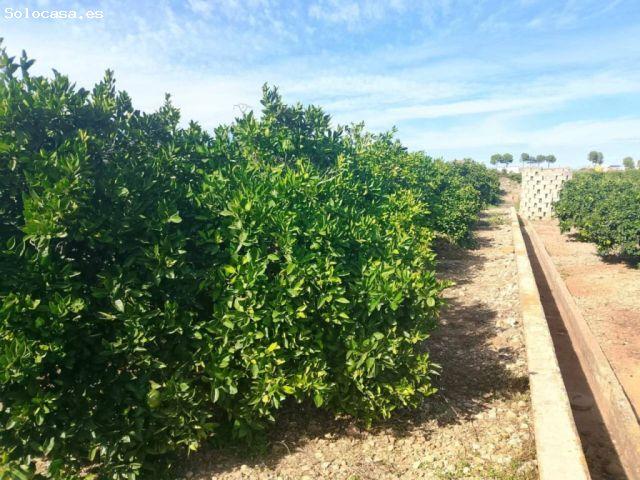 Apartamento en Venta en Xeresa Valencia